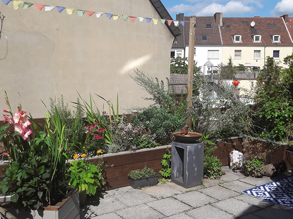 Bild