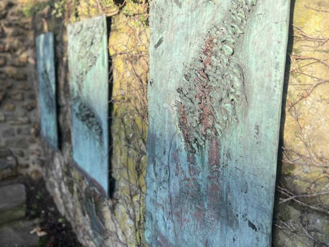 Bild