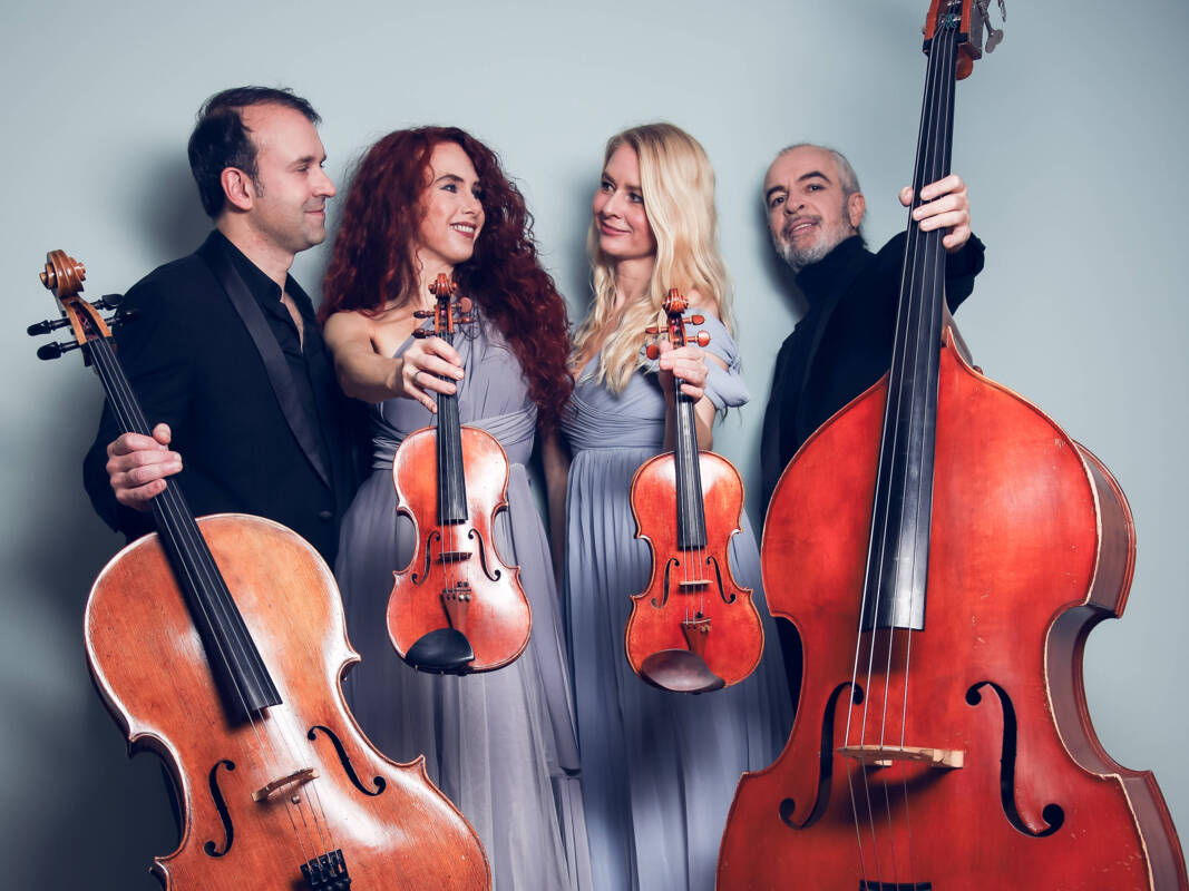 Streichquartett Blue Velvet